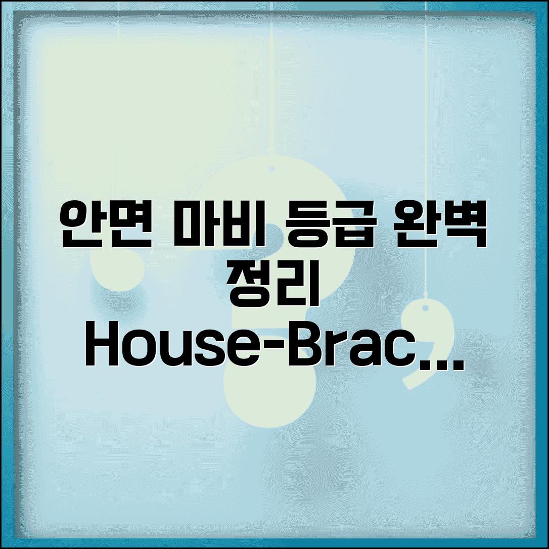 안면 신경 마비 장해 등급 완벽정리 | 안면 마비 House-Brackmann 등급
