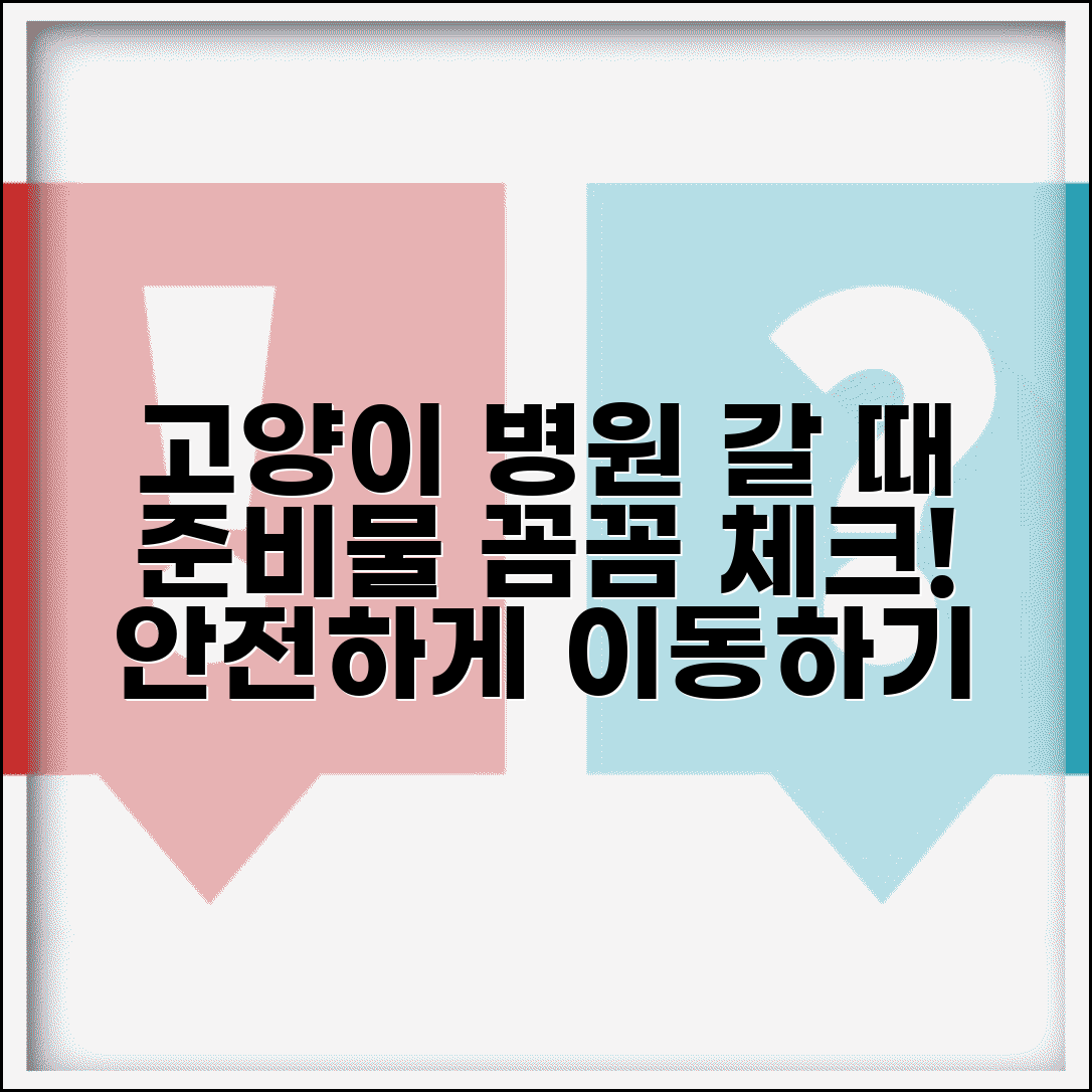 고양이 이동 준비 체크리스트 | 고양이 병원 이동 시 준비