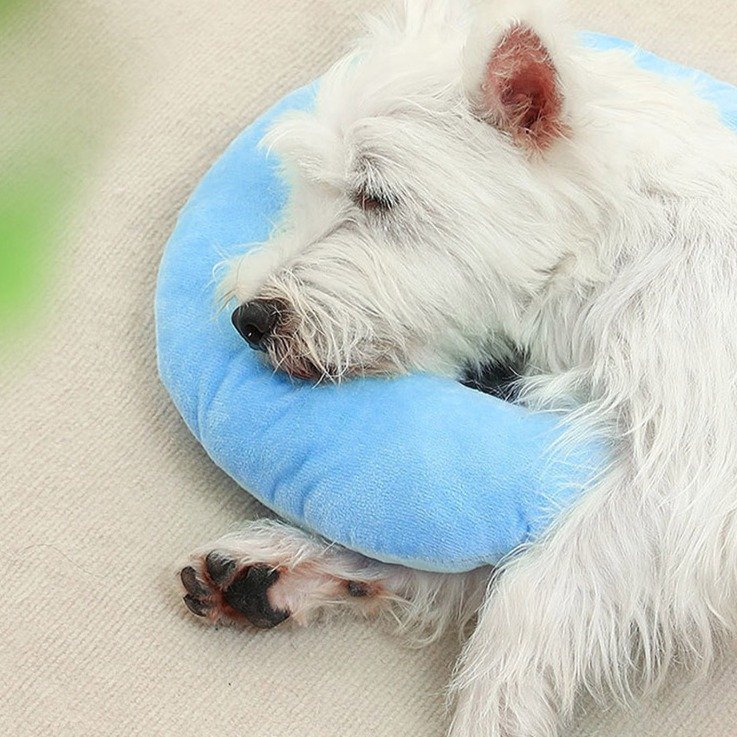 딩동펫 반려동물 물음표 코튼 애착인형 목베개, 블루, 1개 상세 이미지 1